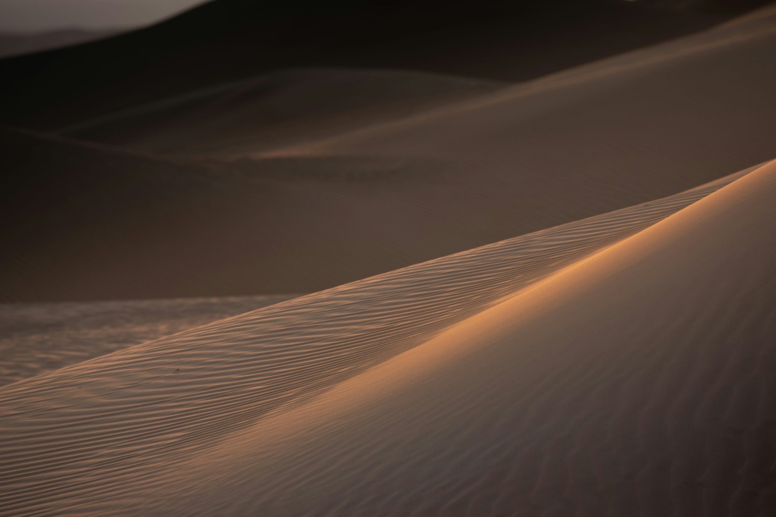 Quiet desert dunes at warm dusk light