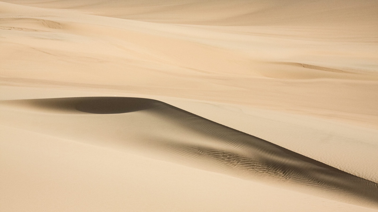 Golden desert dunes rolling under warm light